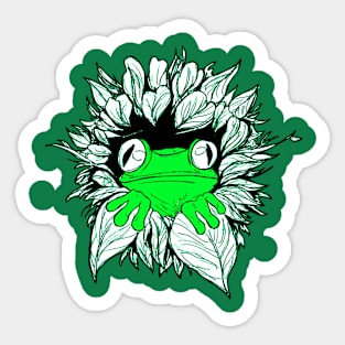 Frog Hiding Sticker